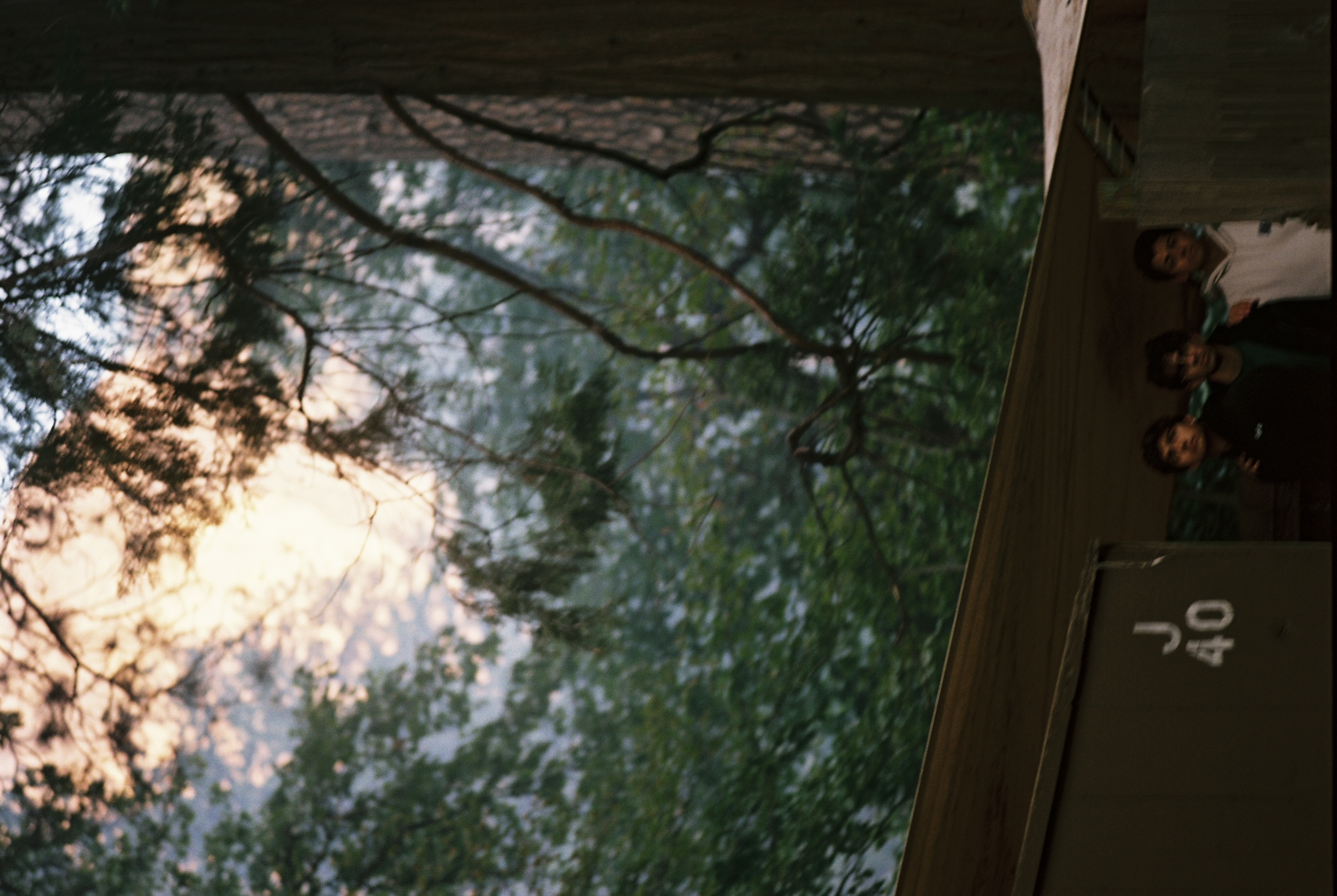 Yosemite photo 15