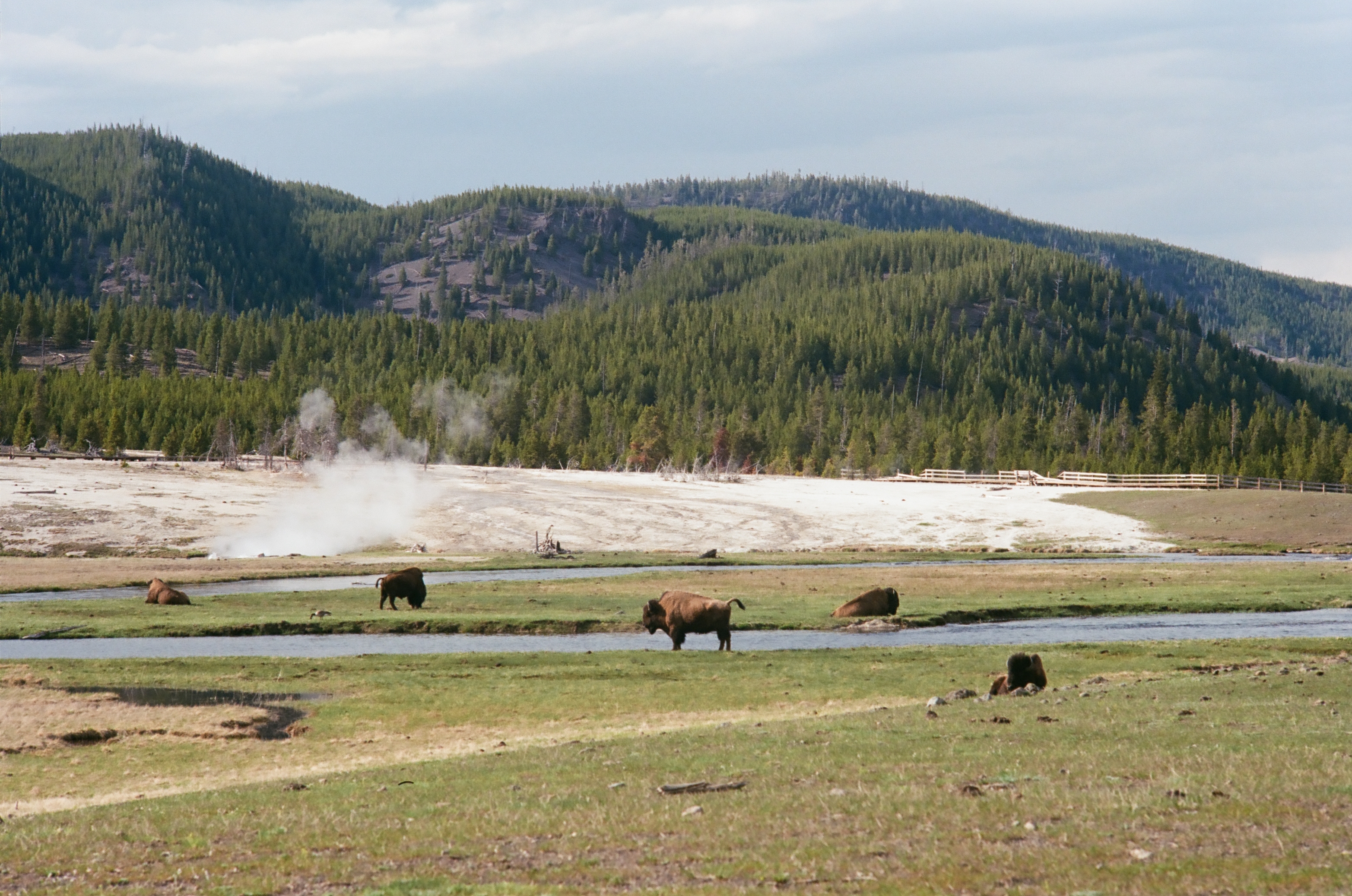 Yellowstone photo 2
