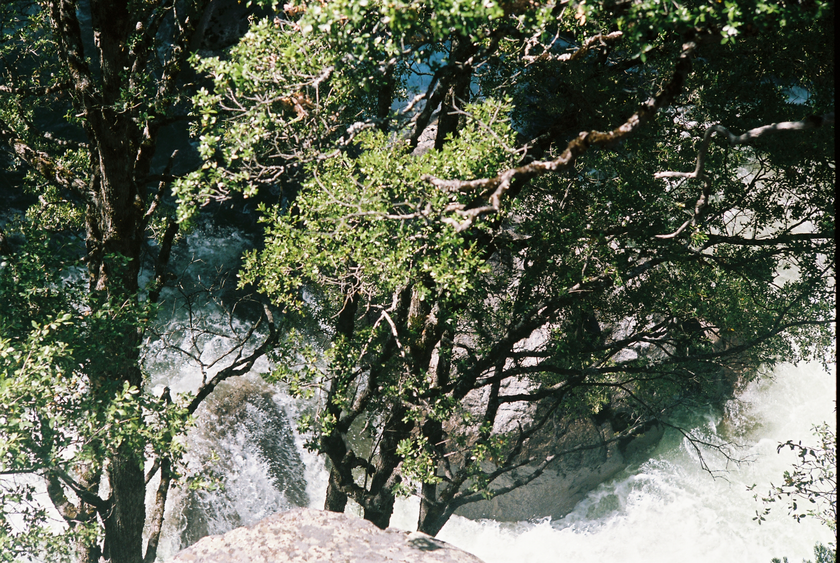 Yosemite photo 23