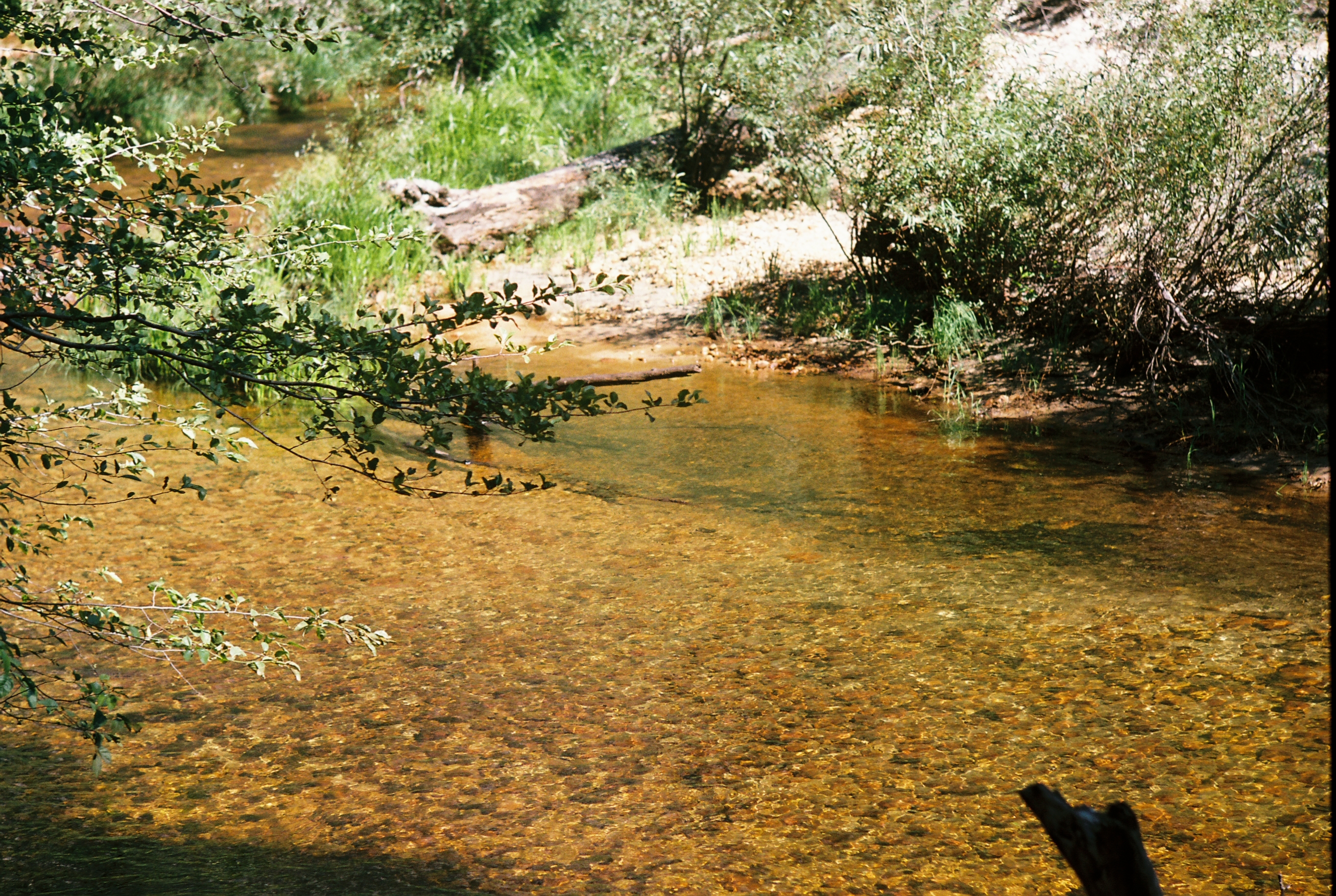 Yosemite photo 31
