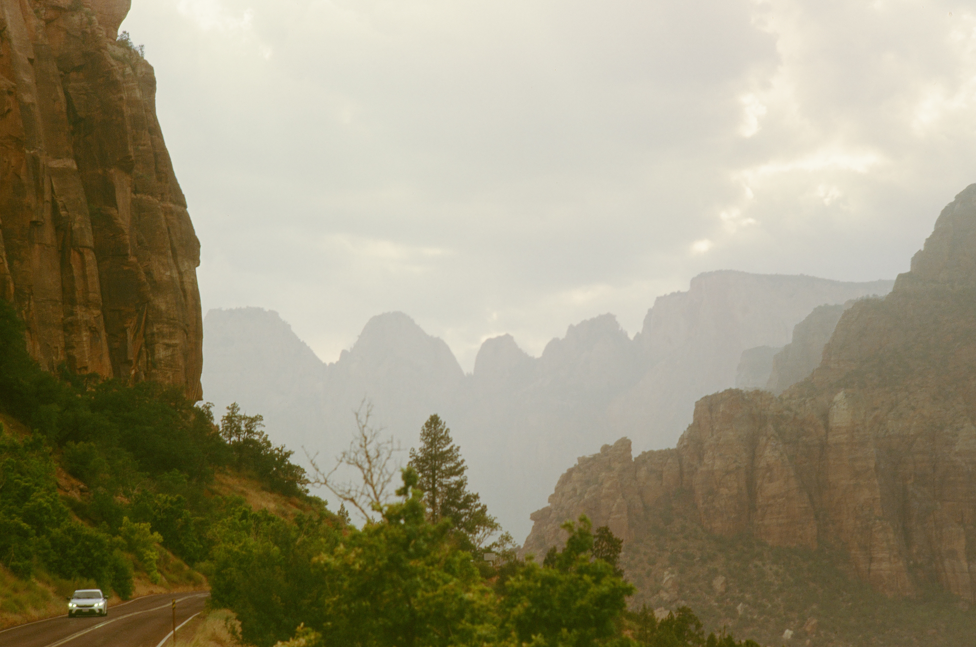 Zion photo 6