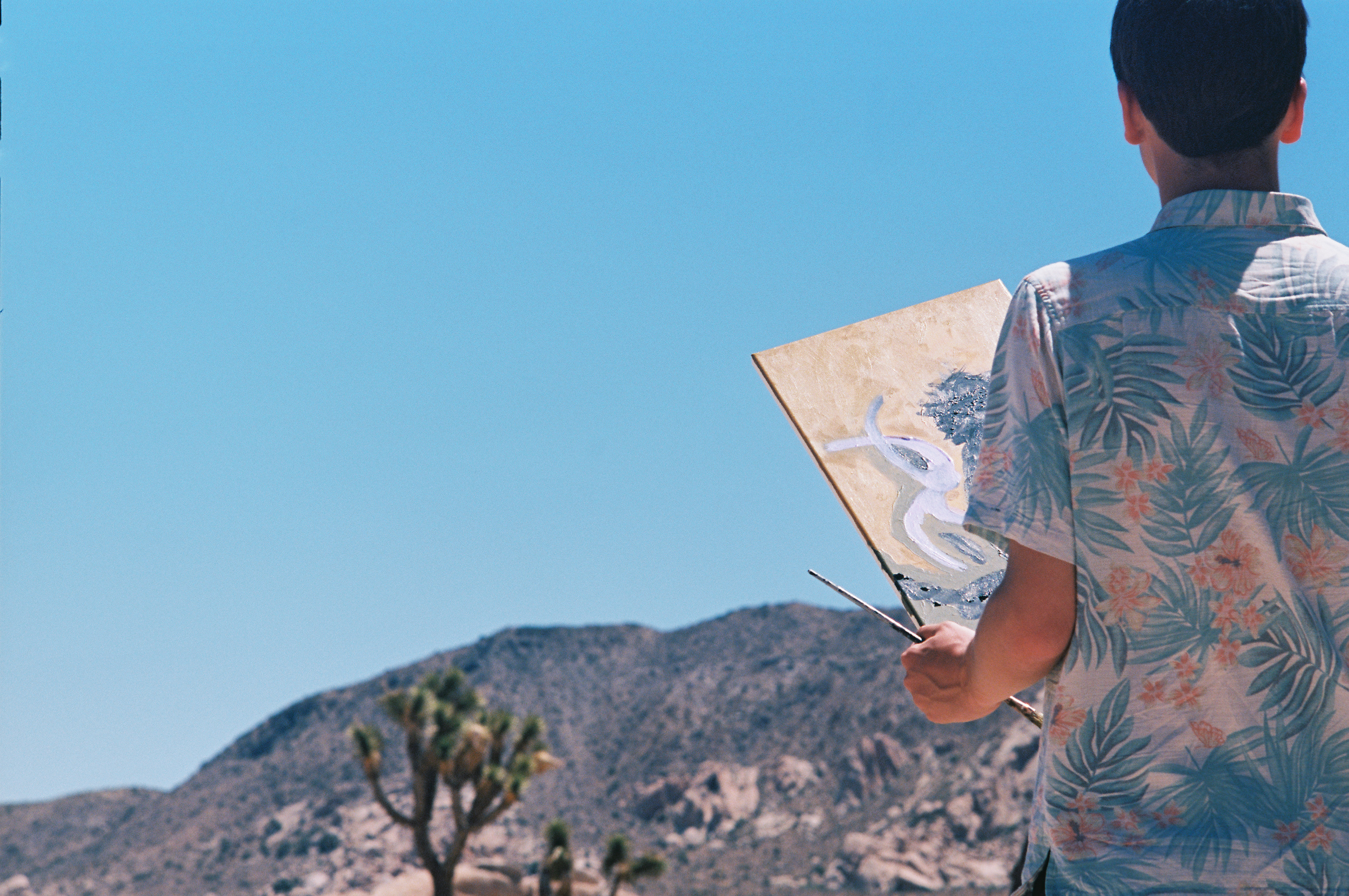 Joshua Tree no. 1 photo 10