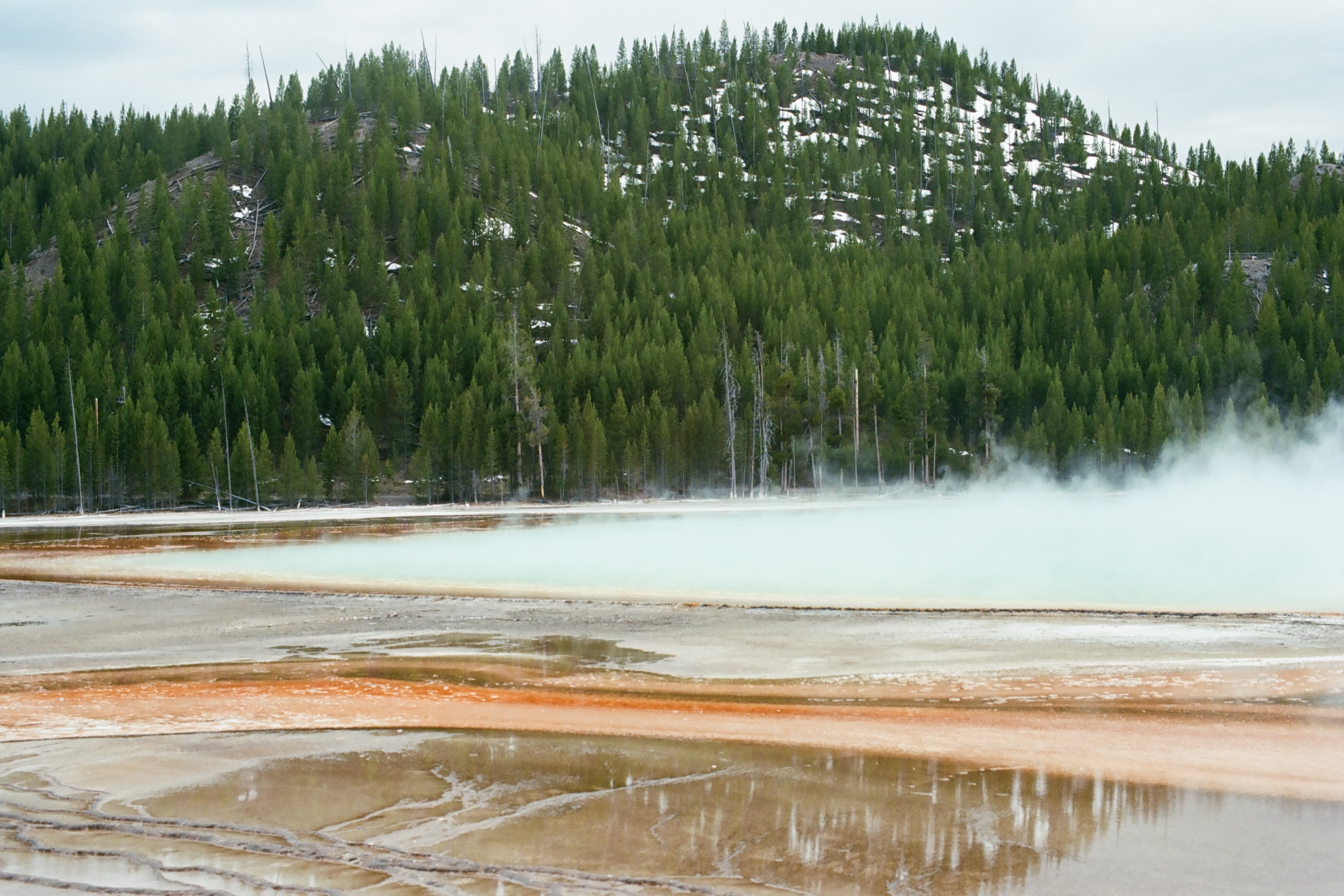 Yellowstone photo 8