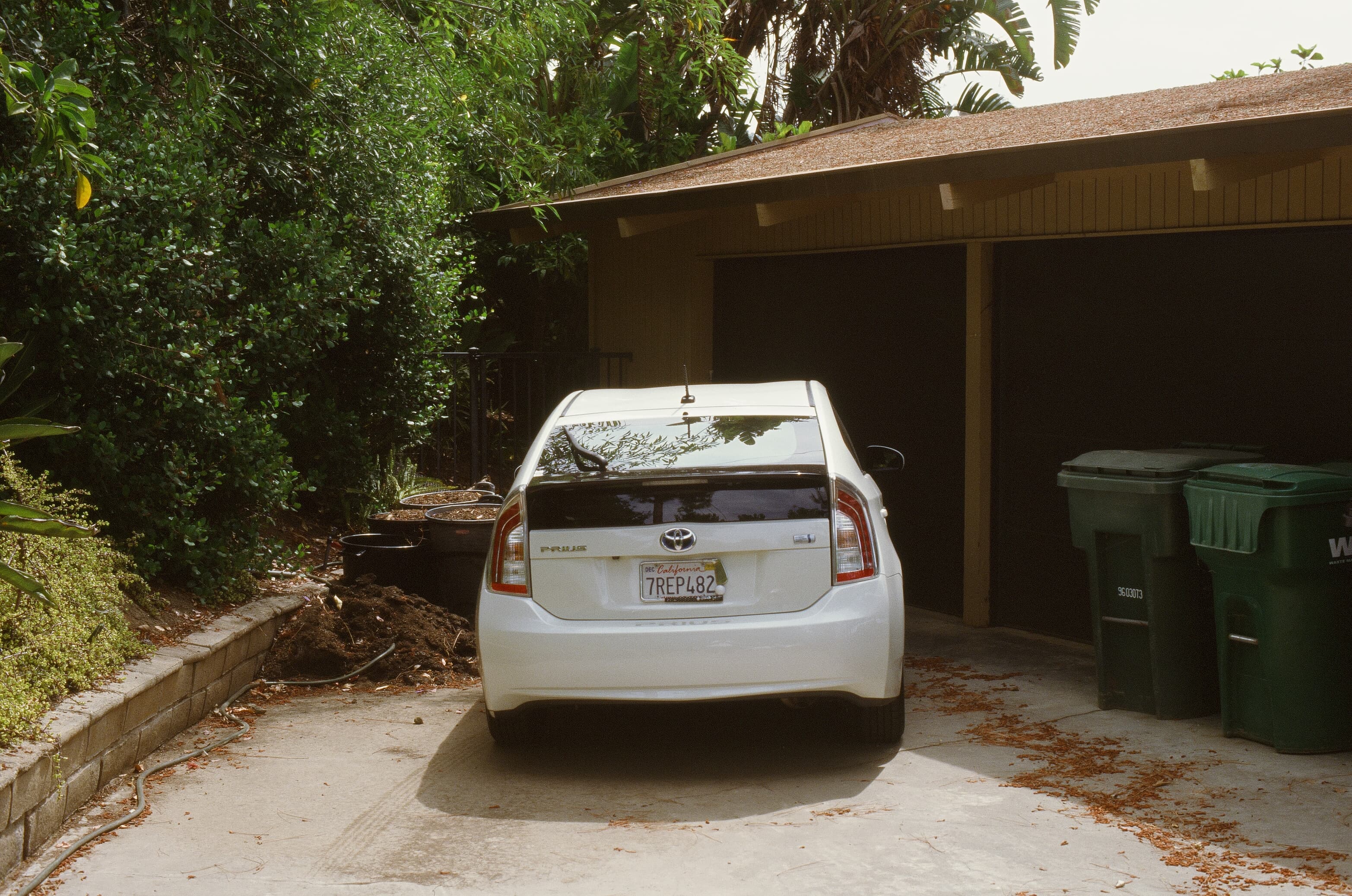 Redwoods photo 21