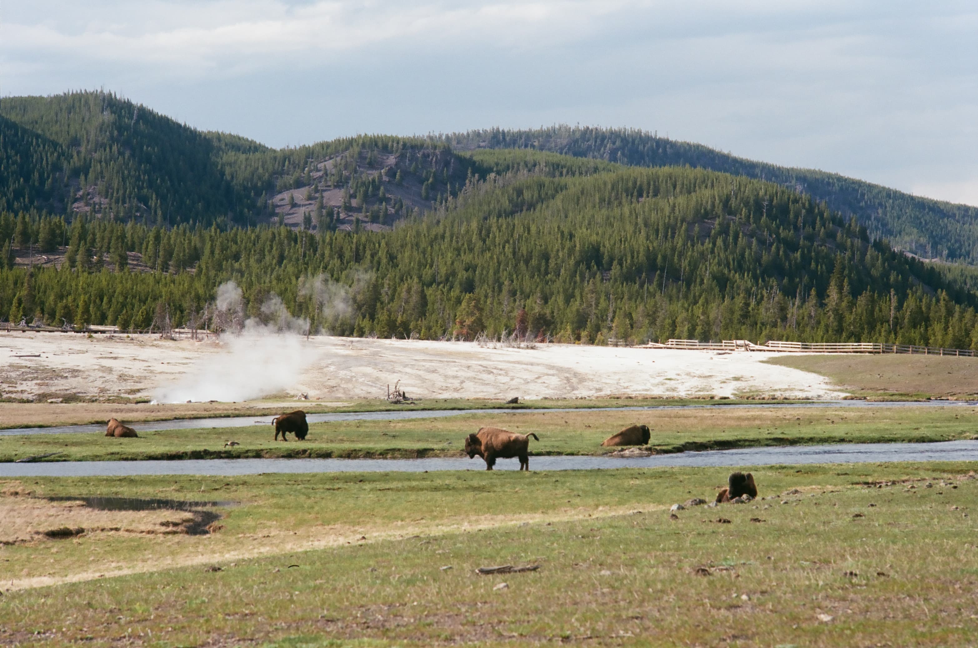 Yellowstone photo 2