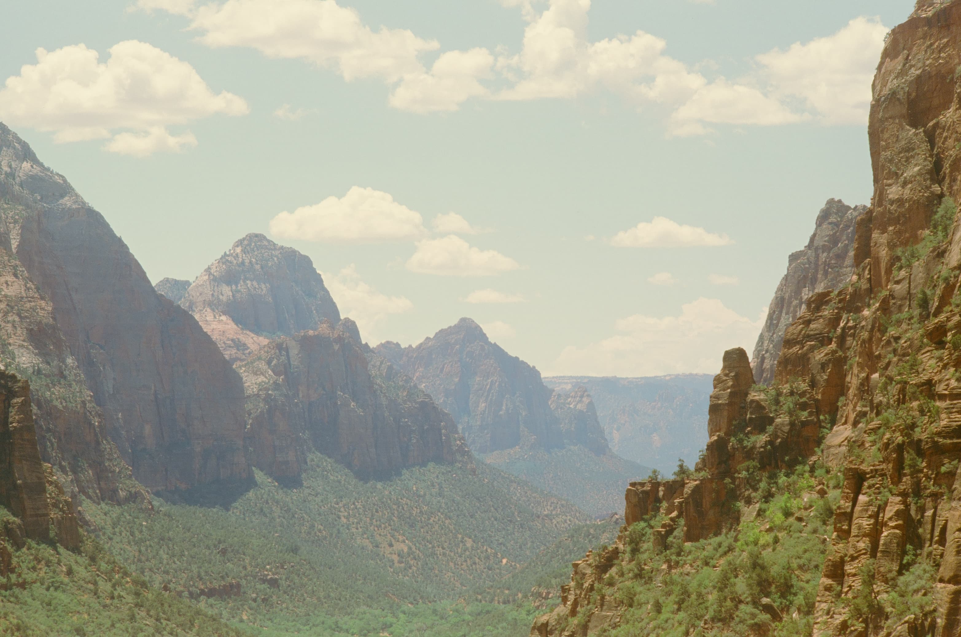 Zion photo 2