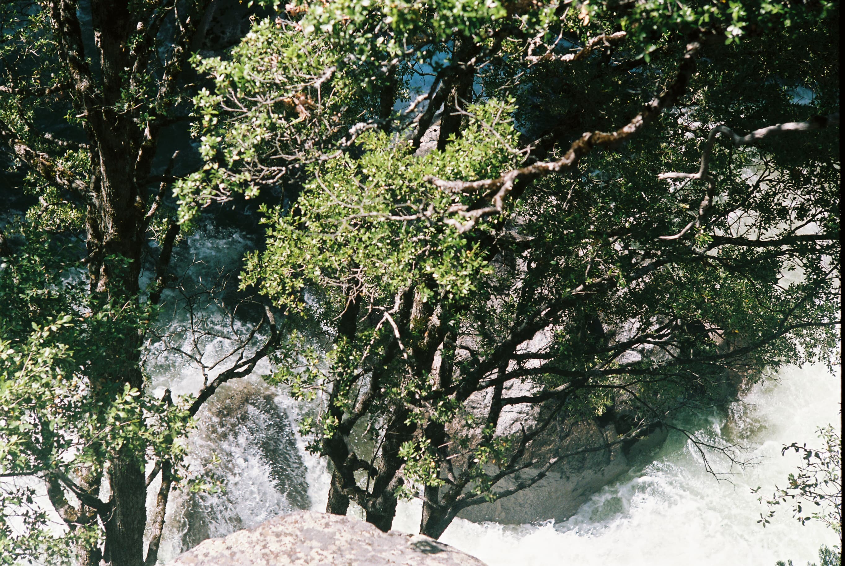 Yosemite photo 23