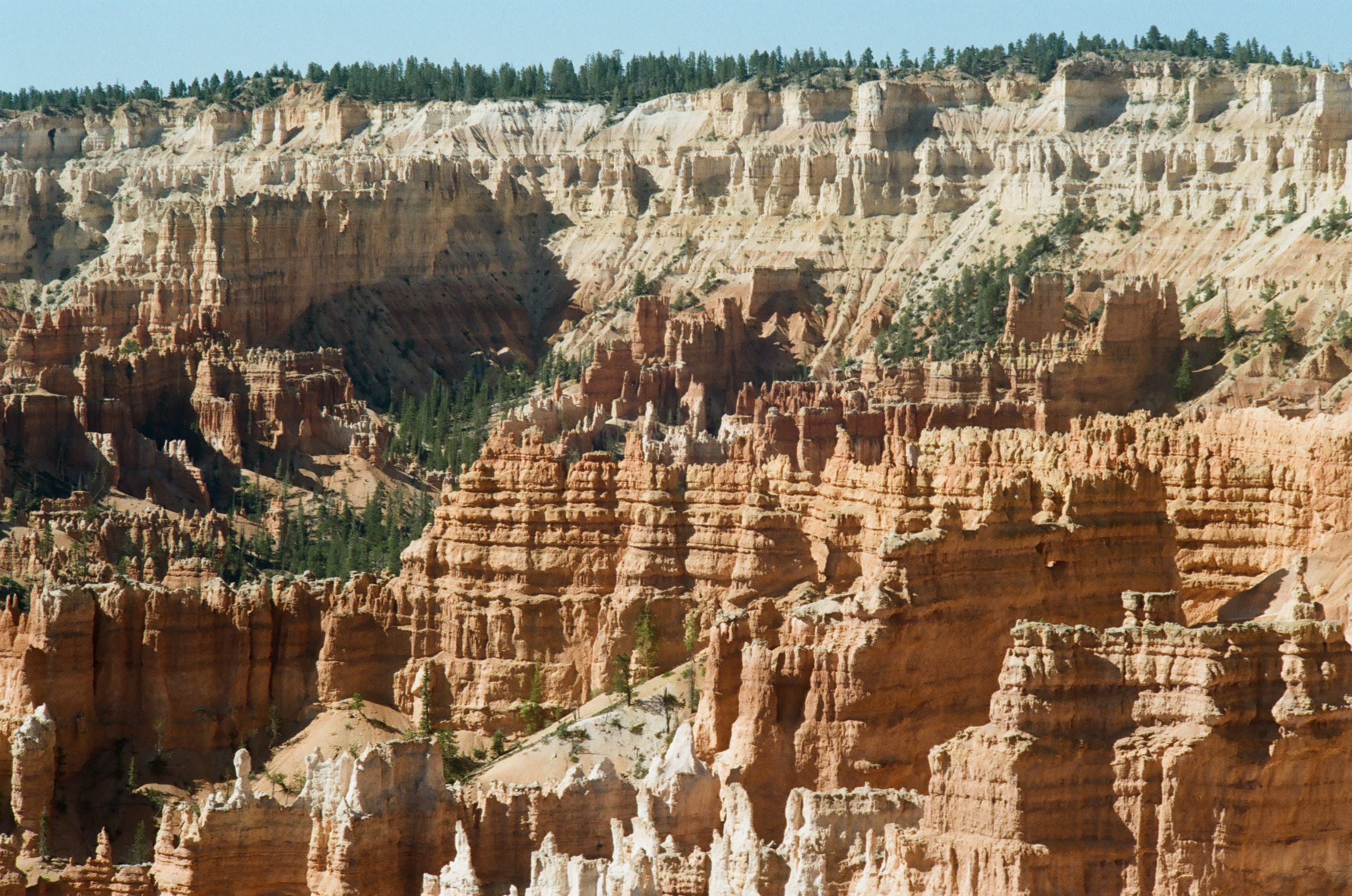 Utah photo 19