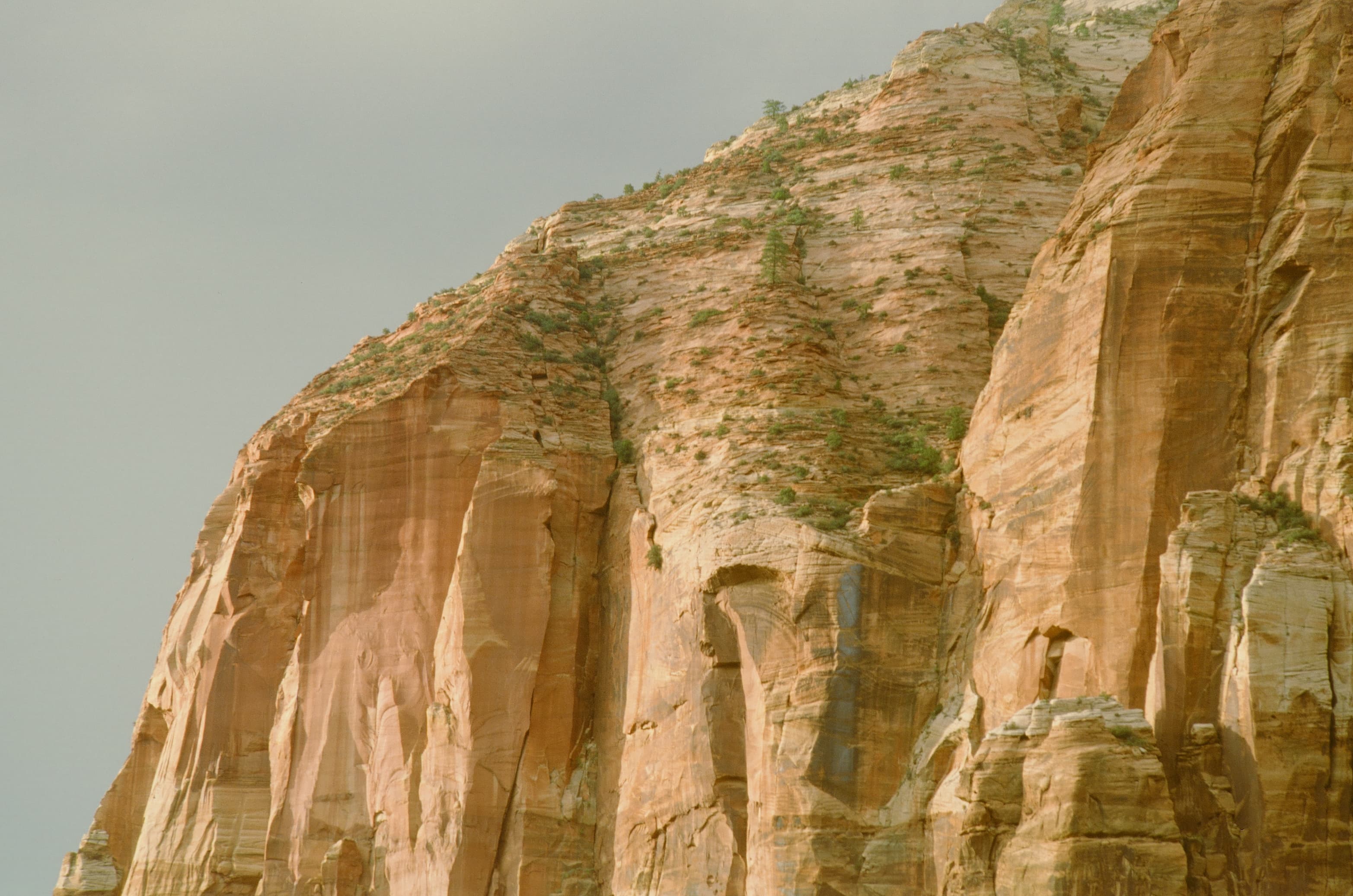 Zion photo 4