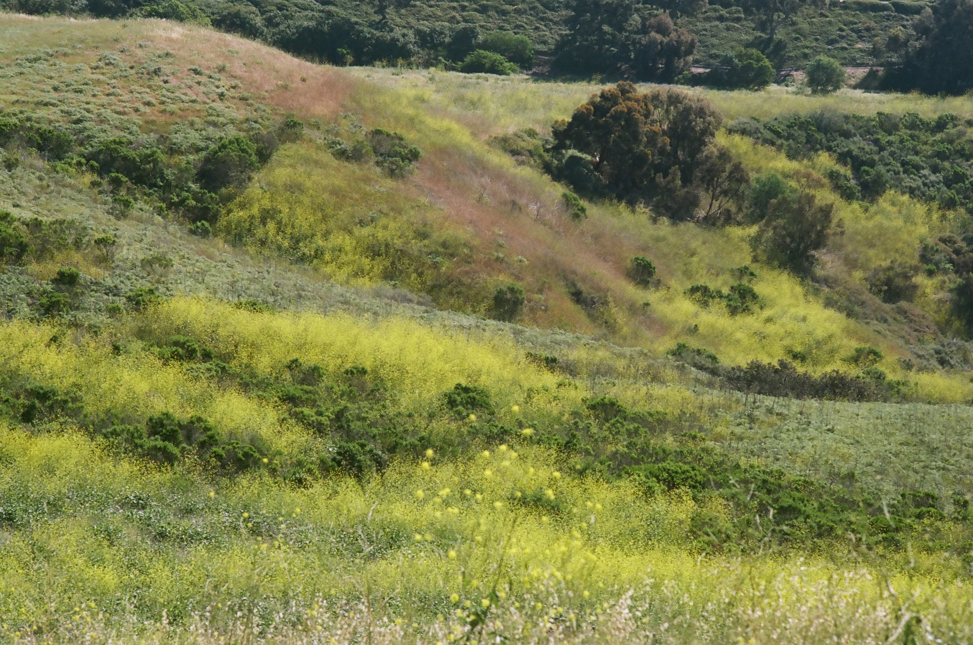 Pinnacles photo 35