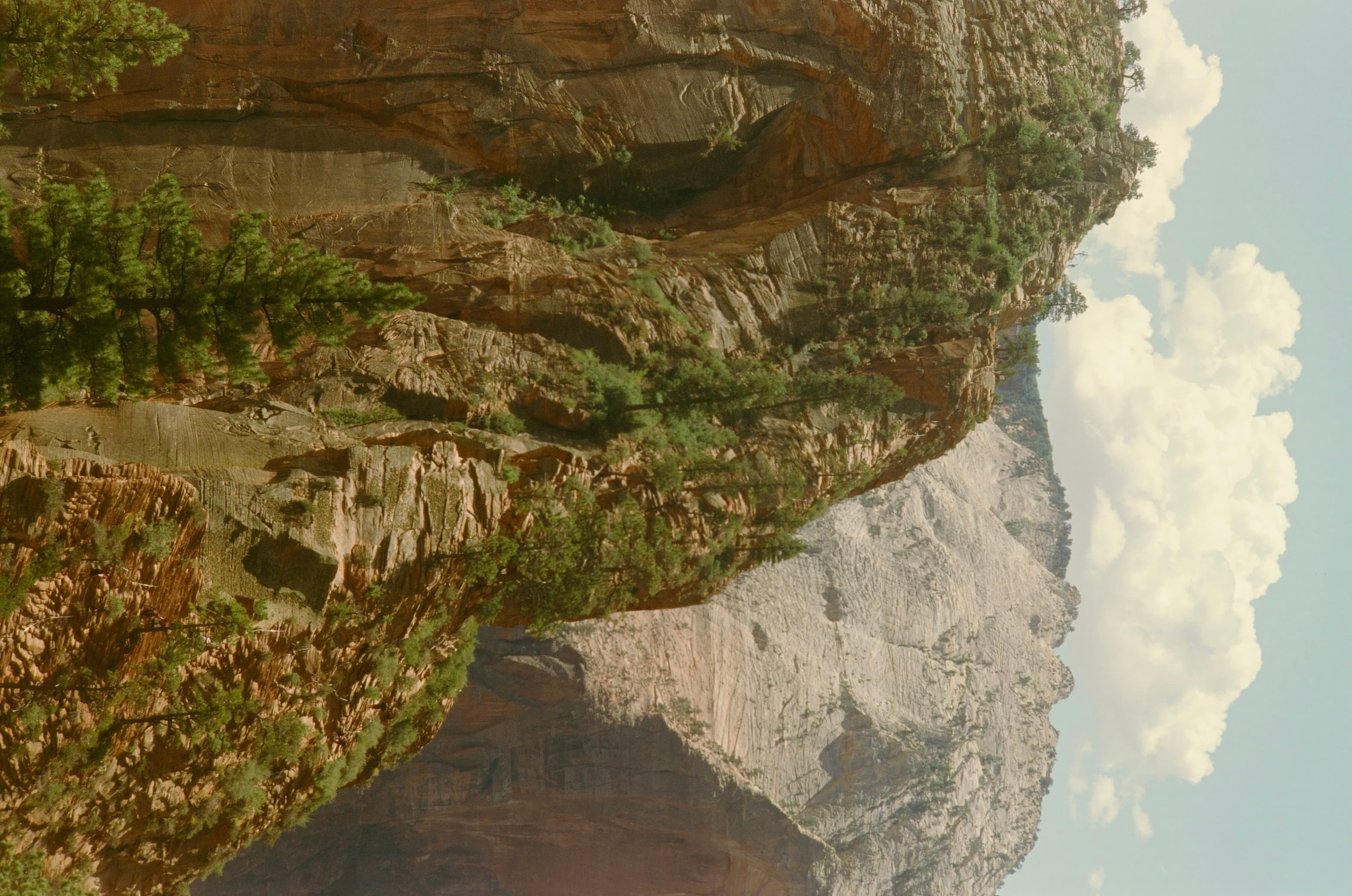 Zion photo 3