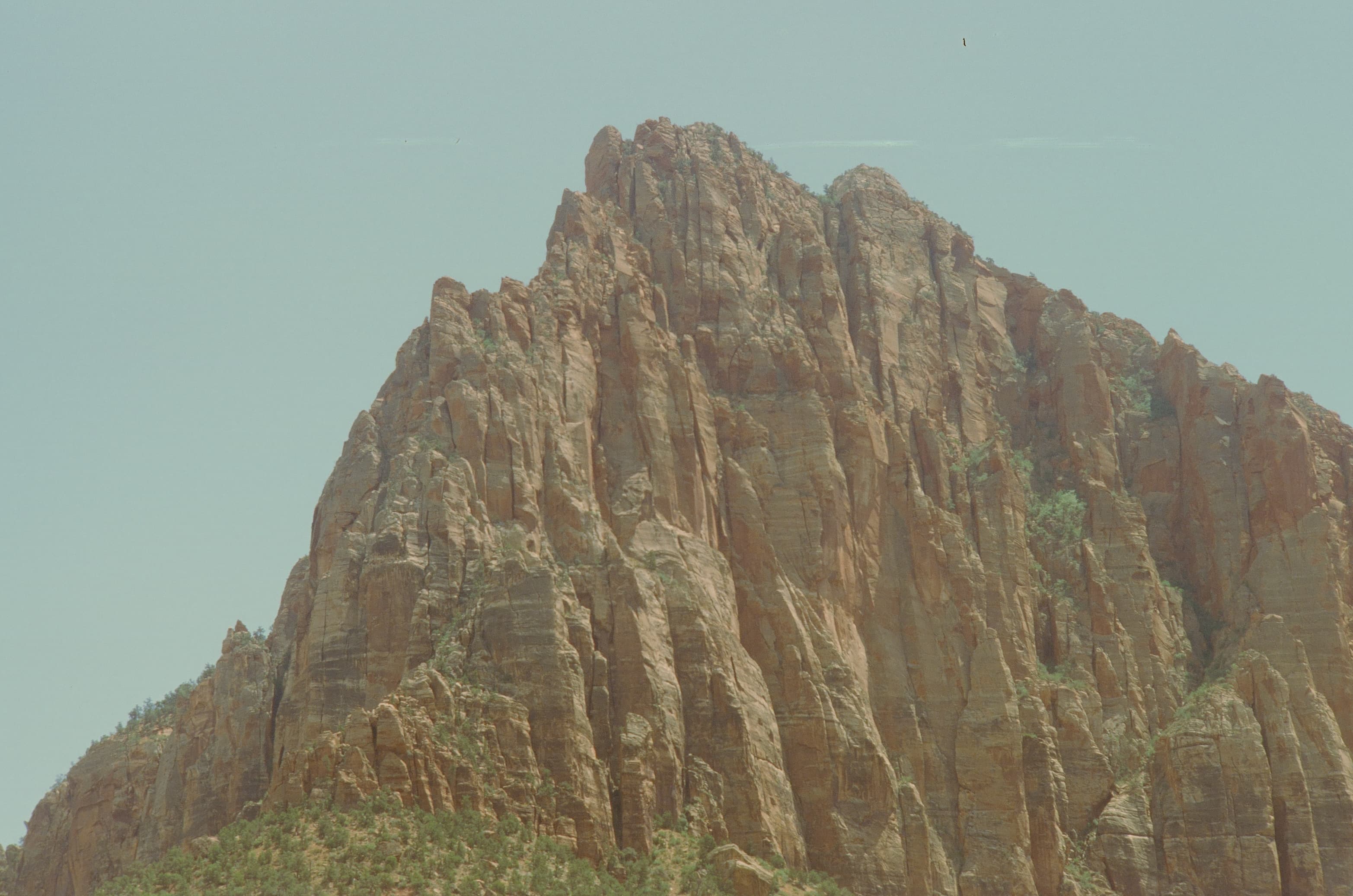 Zion photo 5