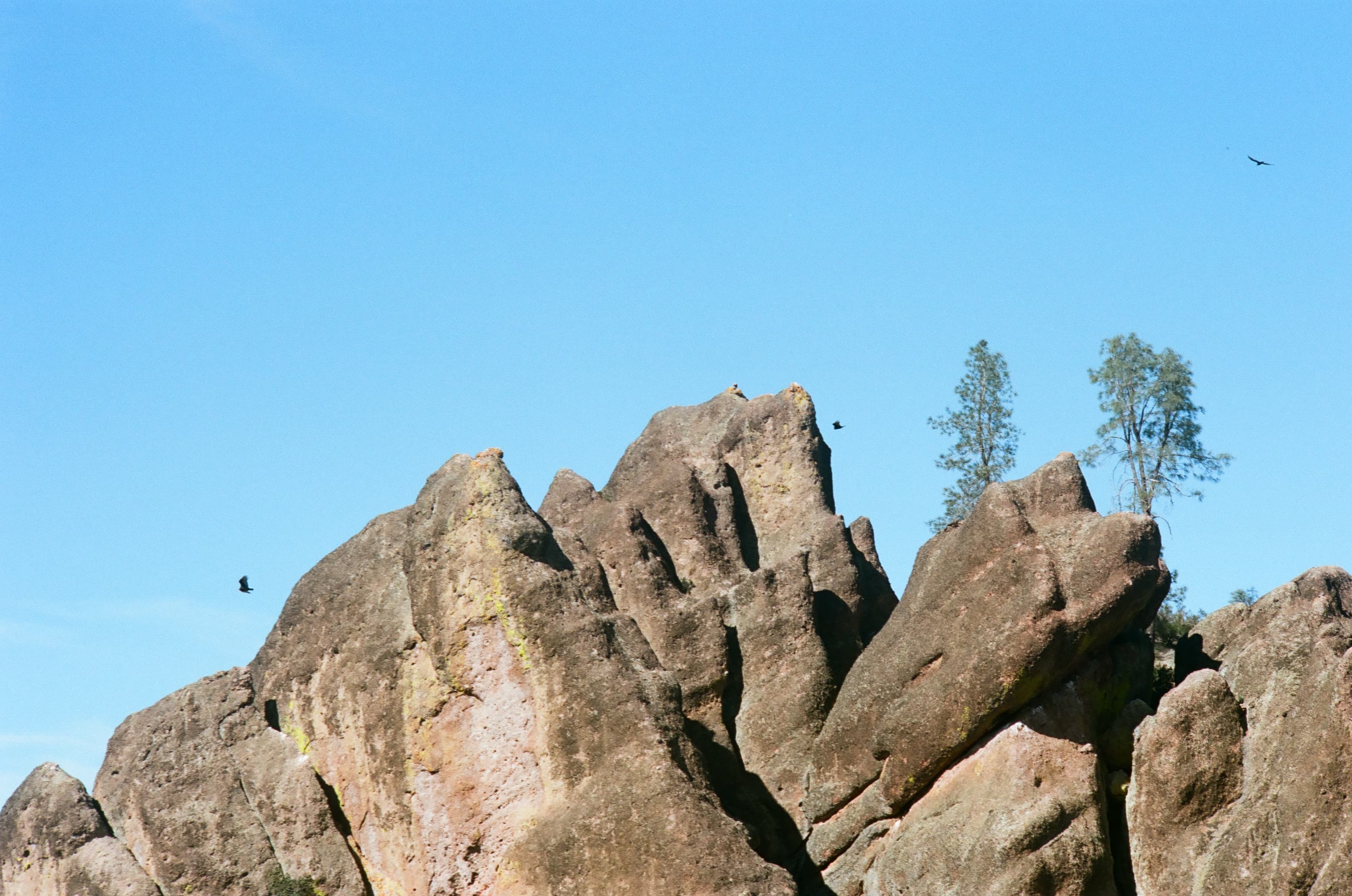 Pinnacles photo 8