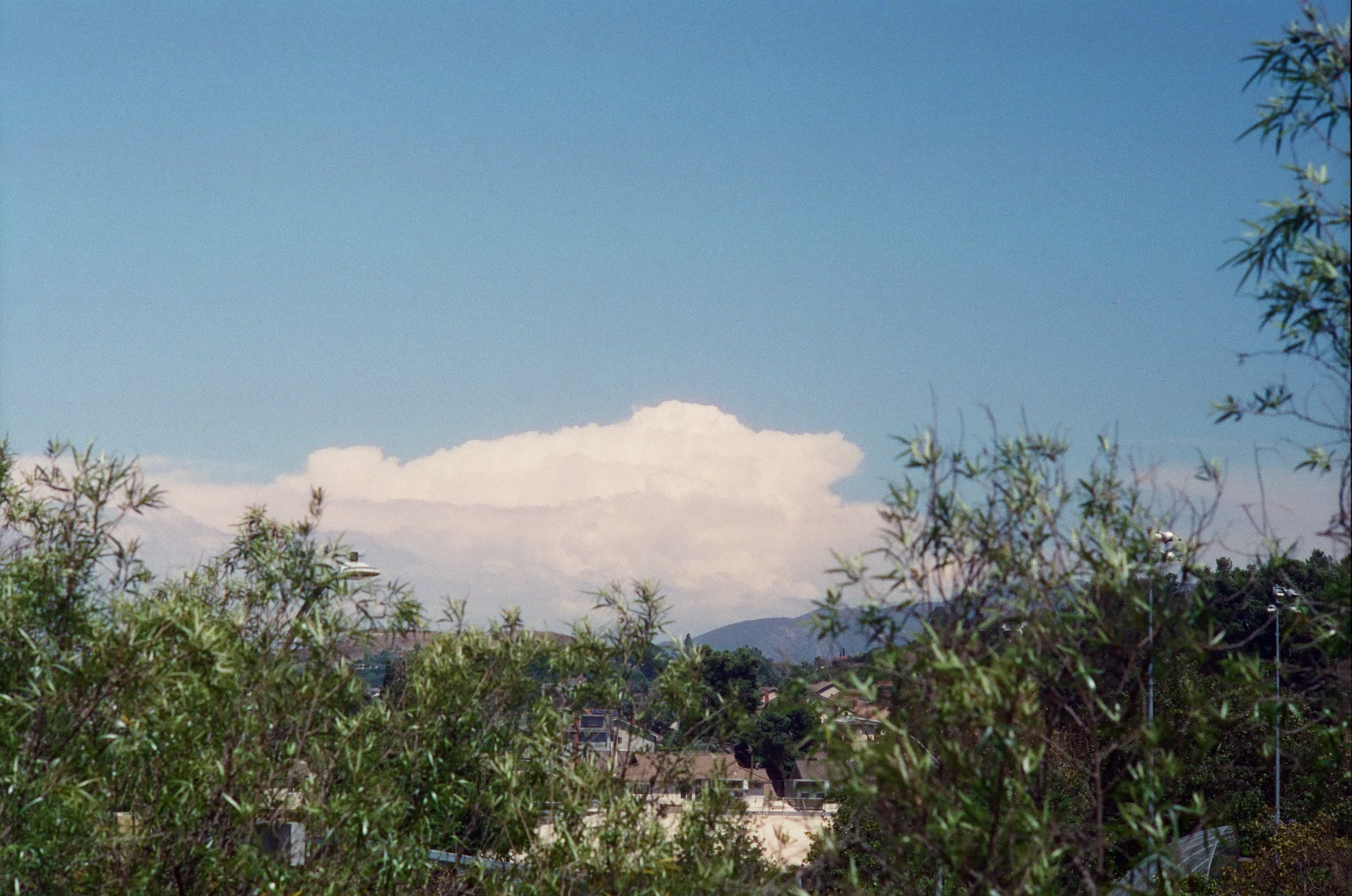 Arrowhead photo 10