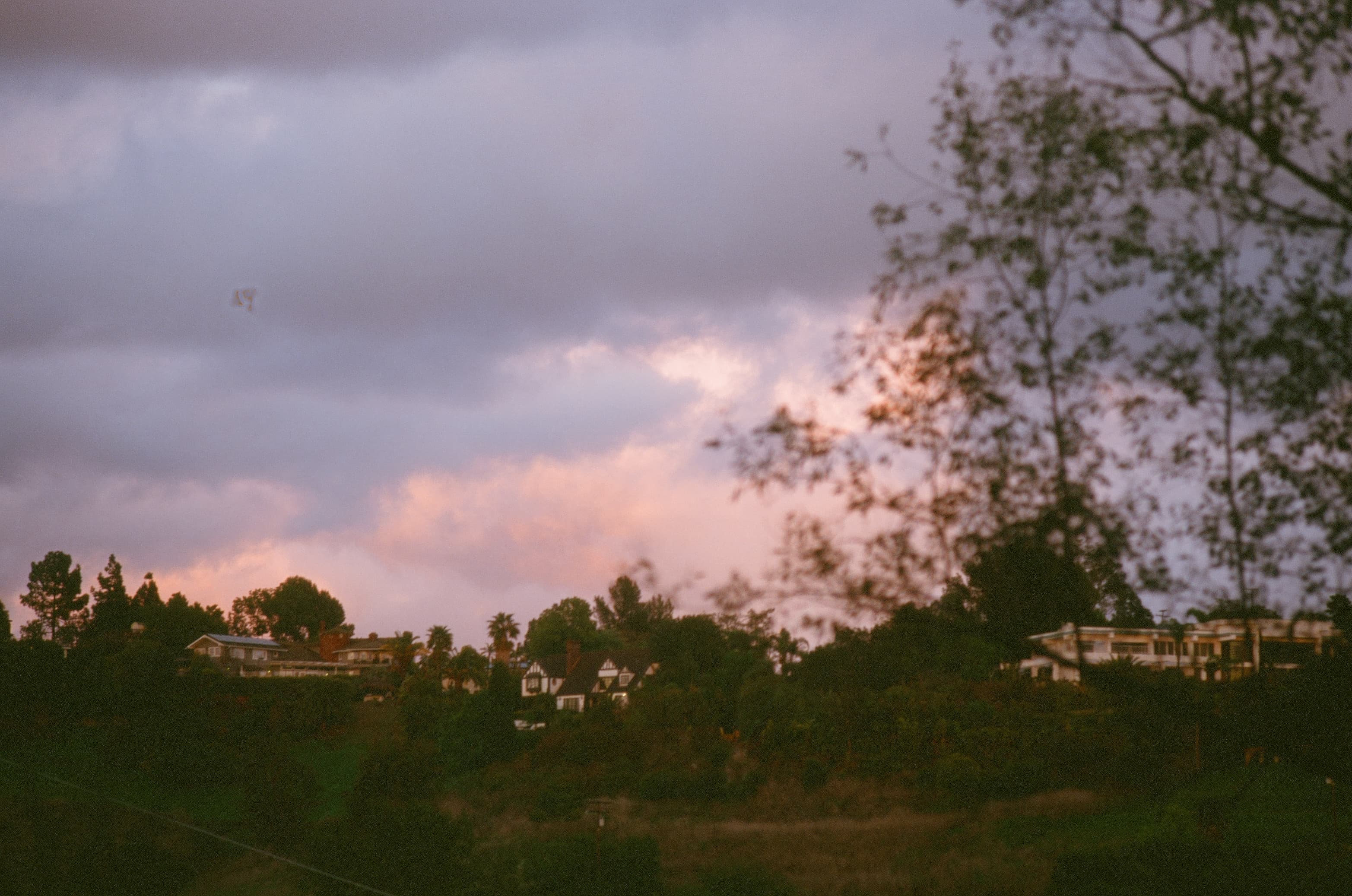 Zion photo 10