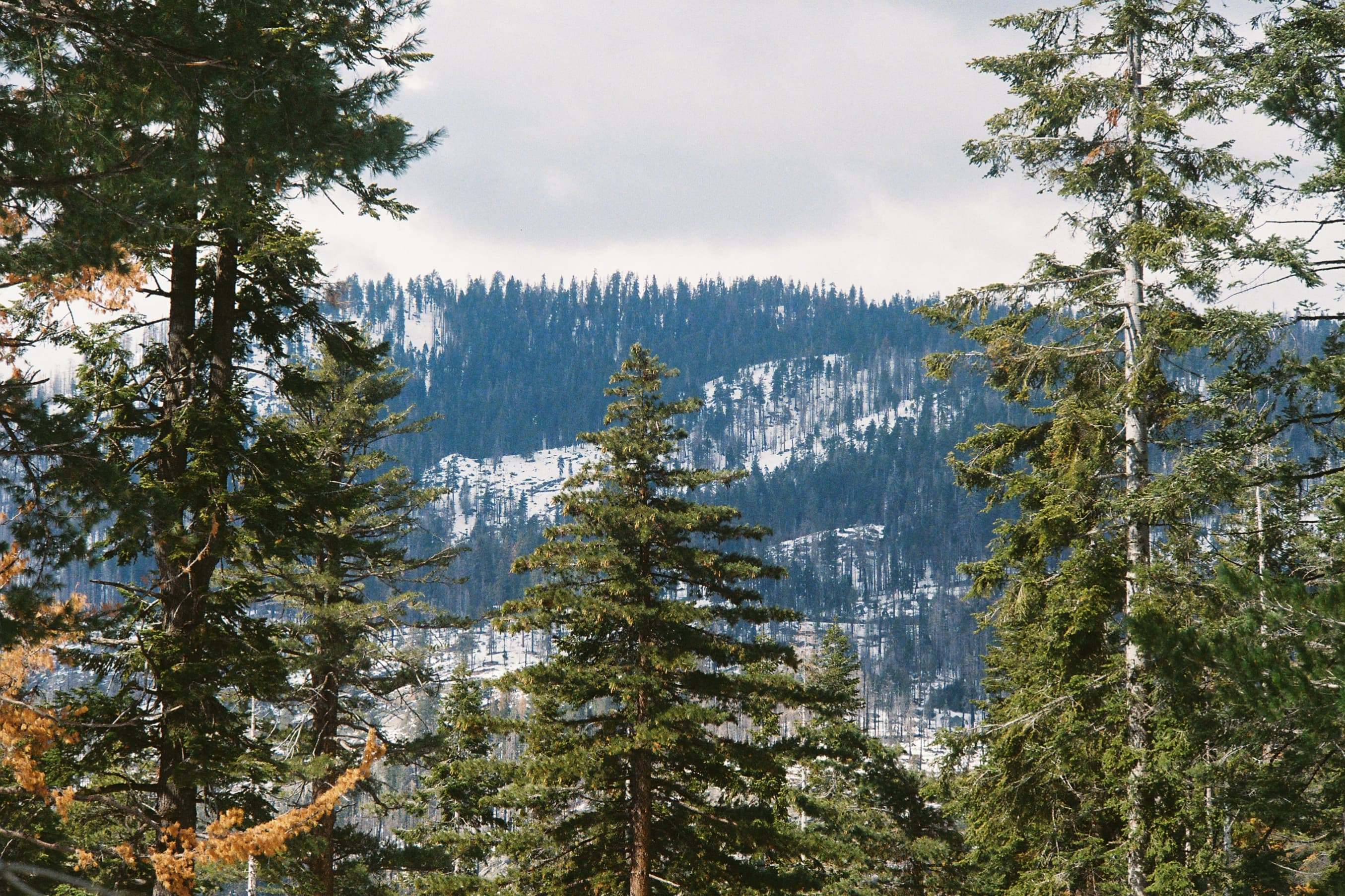 sequoia & kings canyon photo 2